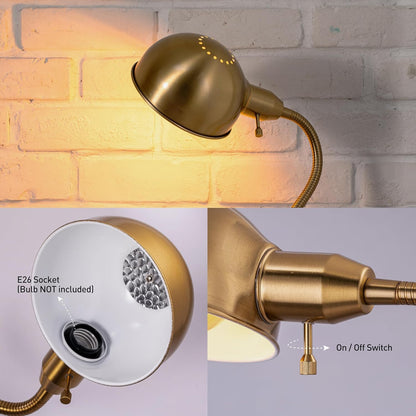 Adjustable Floor Lamp with Flexible Gooseneck and Rotatable Shade, E26 Socket, 10-Inch Base